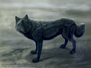 blue_from_wolf__s_rain_by_blackmystica.jpg